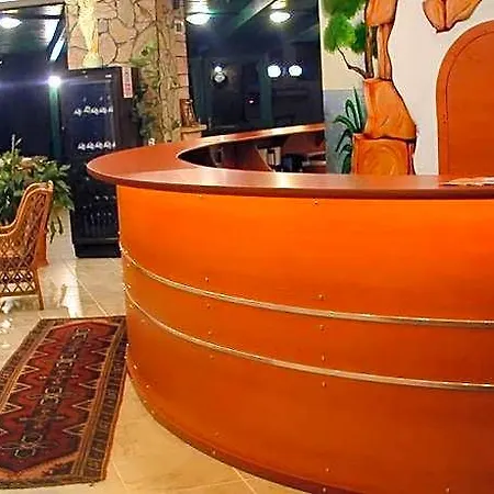 Hotel Panorama Plaza 3*